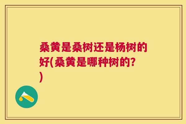 桑黄是桑树还是杨树的好(桑黄是哪种树的？)