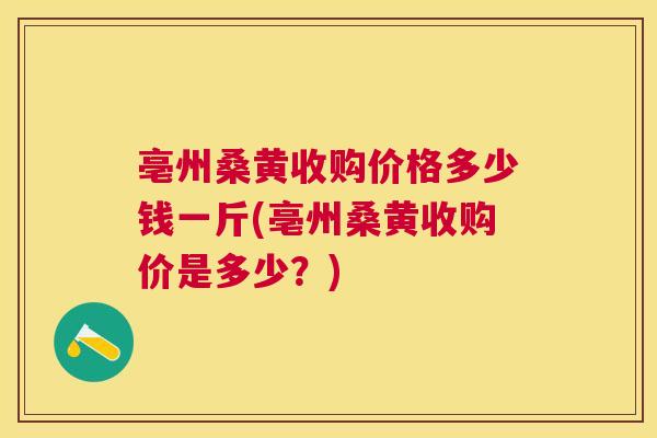 亳州桑黄收购价格多少钱一斤(亳州桑黄收购价是多少？)