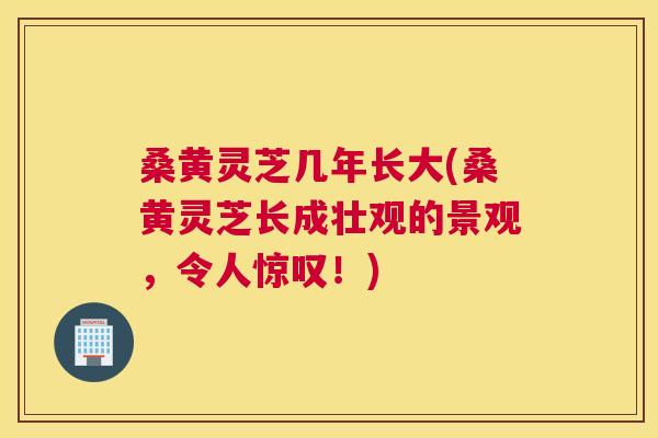 桑黄灵芝几年长大(桑黄灵芝长成壮观的景观，令人惊叹！)