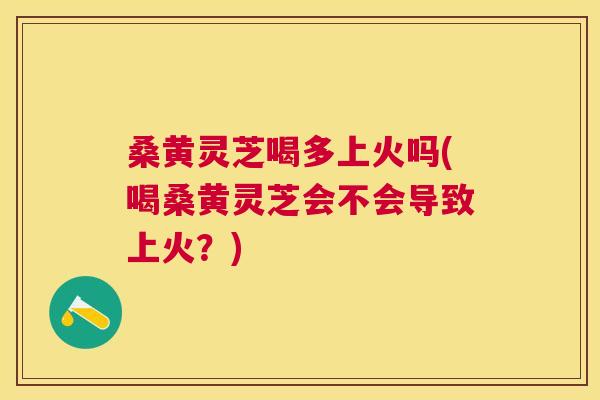 桑黄灵芝喝多上火吗(喝桑黄灵芝会不会导致上火？)