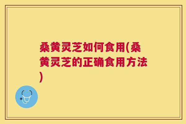 桑黄灵芝如何食用(桑黄灵芝的正确食用方法)