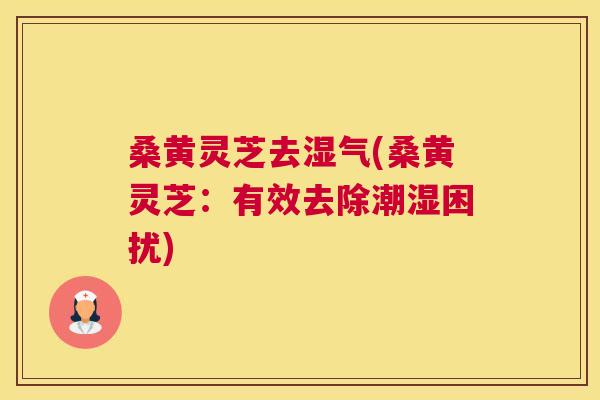 桑黄灵芝去湿气(桑黄灵芝：有效去除潮湿困扰)