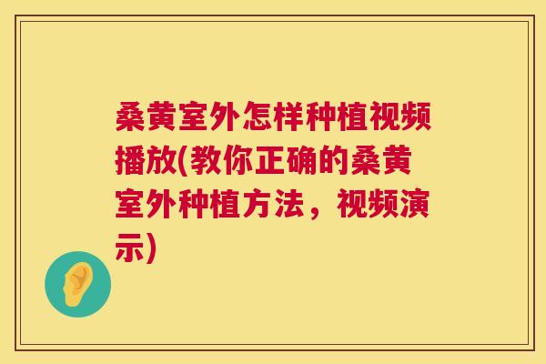 桑黄室外怎样种植视频播放(教你正确的桑黄室外种植方法，视频演示)