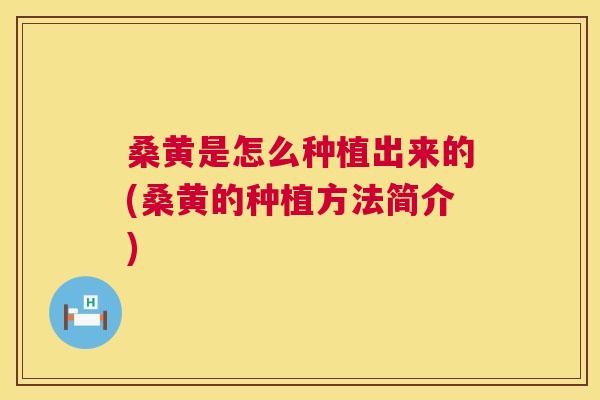 桑黄是怎么种植出来的(桑黄的种植方法简介)