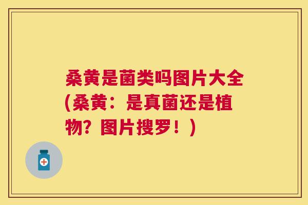 桑黄是菌类吗图片大全(桑黄：是真菌还是植物？图片搜罗！)