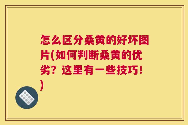 怎么区分桑黄的好坏图片(如何判断桑黄的优劣？这里有一些技巧！)
