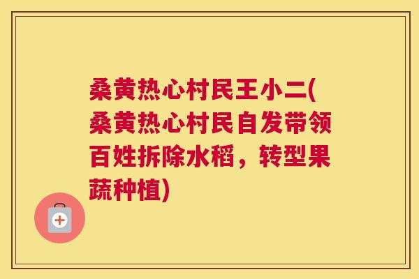 桑黄热心村民王小二(桑黄热心村民自发带领百姓拆除水稻，转型果蔬种植)