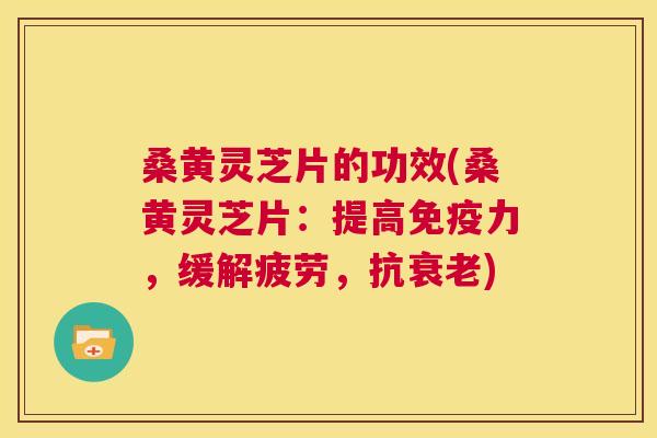 桑黄灵芝片的功效(桑黄灵芝片：提高力，缓解疲劳，抗)