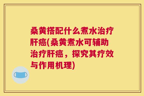 桑黄搭配什么煮水(桑黄煮水可辅助，探究其疗效与作用机理)