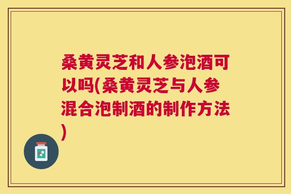 桑黄灵芝和人参泡酒可以吗(桑黄灵芝与人参混合泡制酒的制作方法)