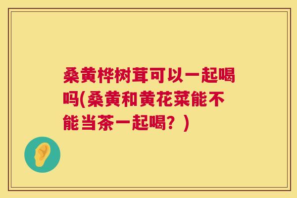 桑黄桦树茸可以一起喝吗(桑黄和黄花菜能不能当茶一起喝？)