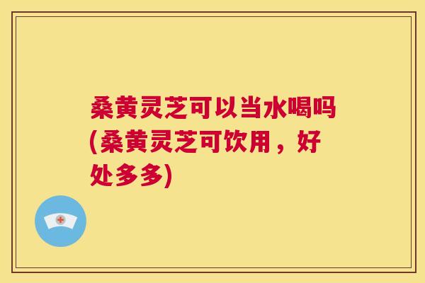 桑黄灵芝可以当水喝吗(桑黄灵芝可饮用，好处多多)