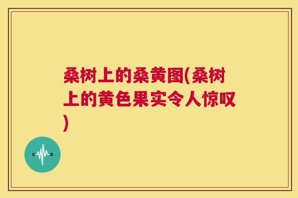 桑树上的桑黄图(桑树上的黄色果实令人惊叹)