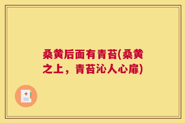 桑黄后面有青苔(桑黄之上，青苔沁人心扉)