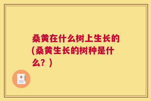 桑黄在什么树上生长的(桑黄生长的树种是什么？)
