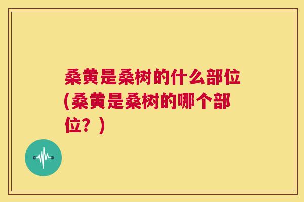 桑黄是桑树的什么部位(桑黄是桑树的哪个部位？)