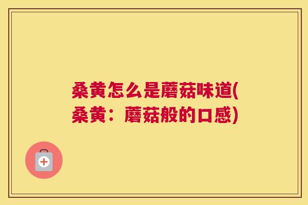 桑黄怎么是蘑菇味道(桑黄：蘑菇般的口感)