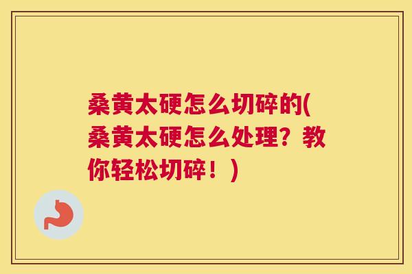桑黄太硬怎么切碎的(桑黄太硬怎么处理？教你轻松切碎！)