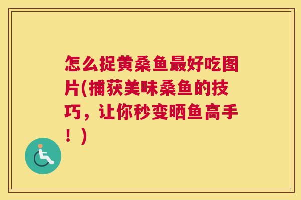 怎么捉黄桑鱼好吃图片(捕获美味桑鱼的技巧，让你秒变晒鱼高手！)
