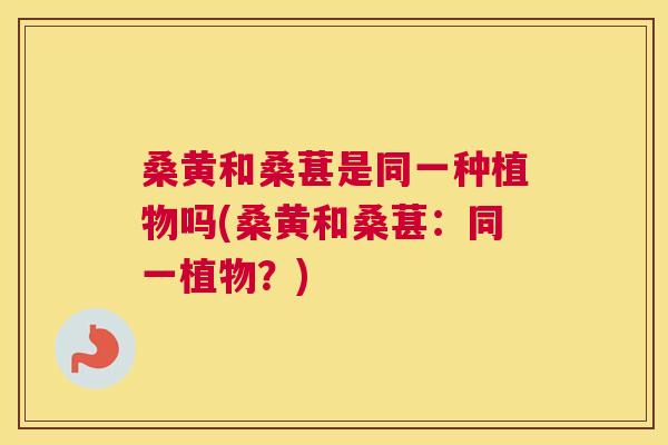 桑黄和桑葚是同一种植物吗(桑黄和桑葚：同一植物？)