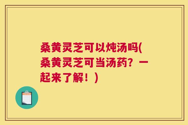 桑黄灵芝可以炖汤吗(桑黄灵芝可当汤药？一起来了解！)