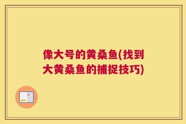 像大号的黄桑鱼(找到大黄桑鱼的捕捉技巧)