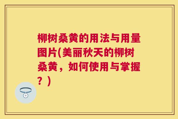 柳树桑黄的用法与用量图片(美丽秋天的柳树桑黄，如何使用与掌握？)