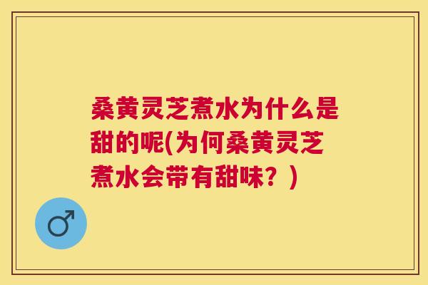 桑黄灵芝煮水为什么是甜的呢(为何桑黄灵芝煮水会带有甜味？)