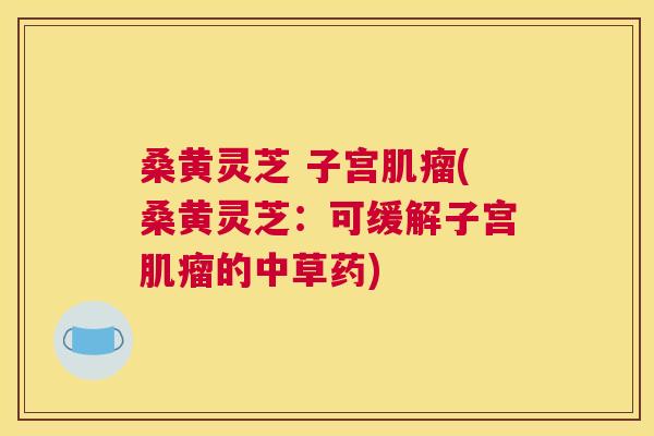 桑黄灵芝 子宫(桑黄灵芝：可缓解子宫的中草药)