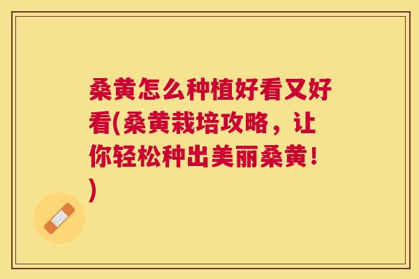 桑黄怎么种植好看又好看(桑黄栽培攻略，让你轻松种出美丽桑黄！)