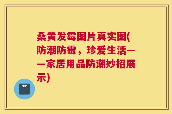 桑黄发霉图片真实图(防潮防霉，珍爱生活——家居用品防潮妙招展示)