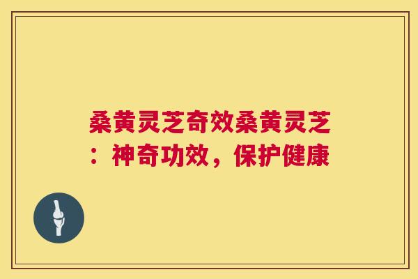 桑黄灵芝奇效桑黄灵芝:神奇功效,保护健康 桑黄灵芝奇效桑黄灵芝:神奇功效,保护健康