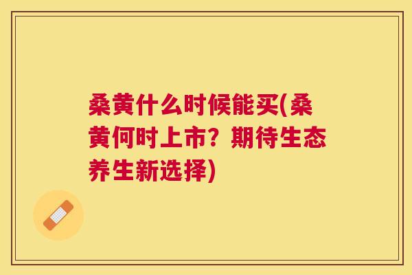 桑黄什么时候能买(桑黄何时上市？期待生态养生新选择)