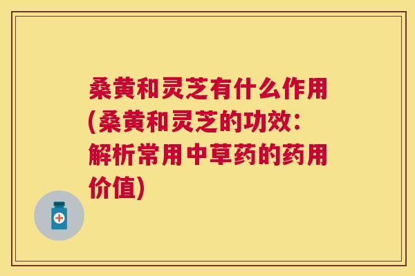 桑黄和灵芝有什么作用(桑黄和灵芝的功效：解析常用中草药的药用价值)