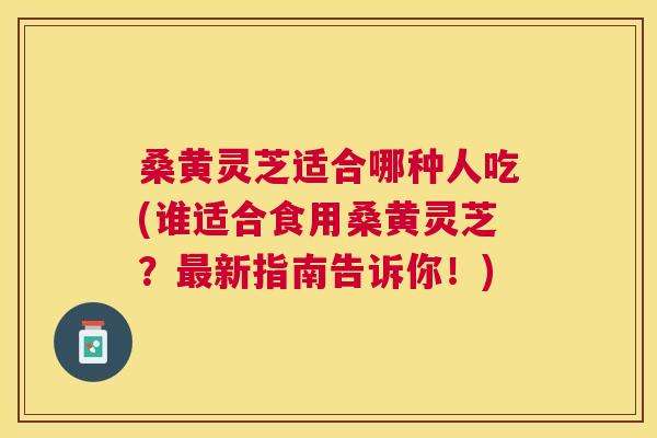 桑黄灵芝适合哪种人吃(谁适合食用桑黄灵芝？新指南告诉你！)