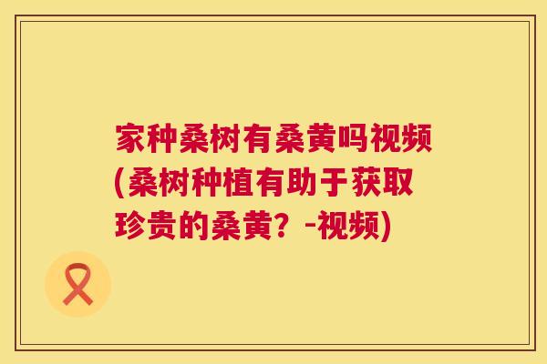 家种桑树有桑黄吗视频(桑树种植有助于获取珍贵的桑黄?-视频) 家种桑树有桑黄吗视频(桑树种植有助于获取珍贵的桑黄?-视频)