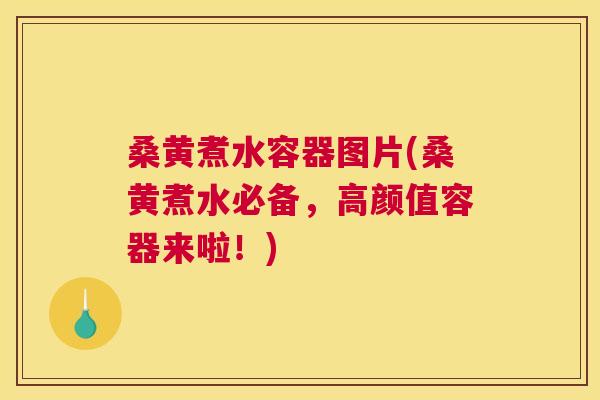 桑黄煮水容器图片(桑黄煮水必备，高颜值容器来啦！)