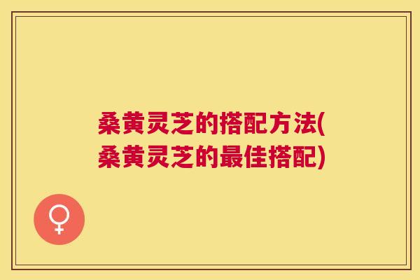 桑黄灵芝的搭配方法(桑黄灵芝的佳搭配)