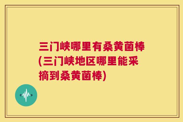 三门峡哪里有桑黄菌棒(三门峡地区哪里能采摘到桑黄菌棒)