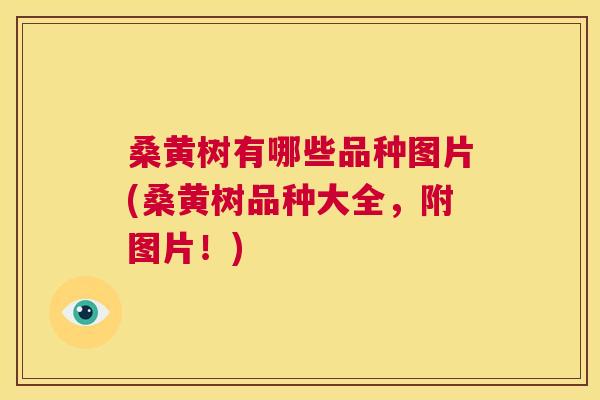 桑黄树有哪些品种图片(桑黄树品种大全,附图片!) 桑黄树有哪些品种图片(桑黄树品种大全,附图片!)
