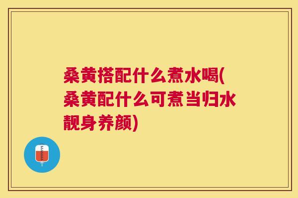 桑黄搭配什么煮水喝(桑黄配什么可煮当归水靓身养颜)