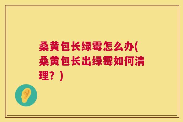 桑黄包长绿霉怎么办(桑黄包长出绿霉如何清理?) 桑黄包长绿霉怎么办(桑黄包长出绿霉如何清理?)