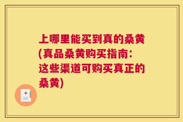 上哪里能买到真的桑黄(真品桑黄购买指南：这些渠道可购买真正的桑黄)