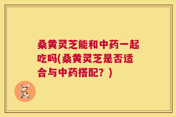 桑黄灵芝能和一起吃吗(桑黄灵芝是否适合与搭配？)