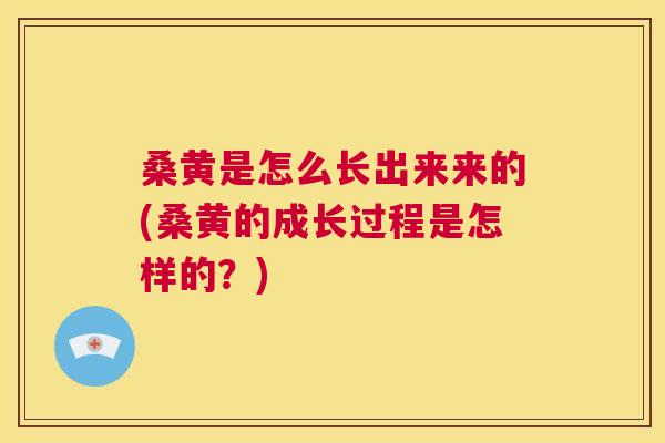 桑黄是怎么长出来来的(桑黄的成长过程是怎样的？)