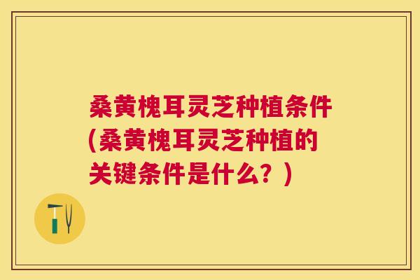 桑黄槐耳灵芝种植条件(桑黄槐耳灵芝种植的关键条件是什么？)