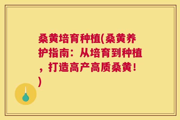 桑黄培育种植(桑黄养护指南：从培育到种植，打造高产高质桑黄！)