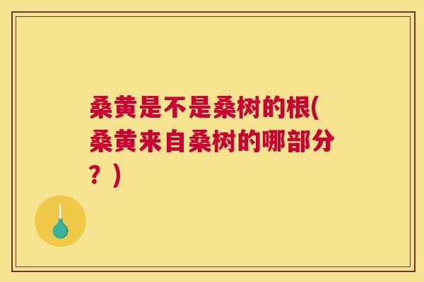 桑黄是不是桑树的根(桑黄来自桑树的哪部分?) 桑黄是不是桑树的根(桑黄来自桑树的哪部分?)