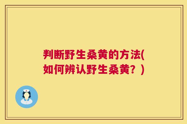 判断野生桑黄的方法(如何辨认野生桑黄？)