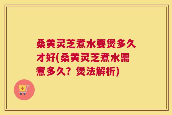 桑黄灵芝煮水要煲多久才好(桑黄灵芝煮水需煮多久？煲法解析)
